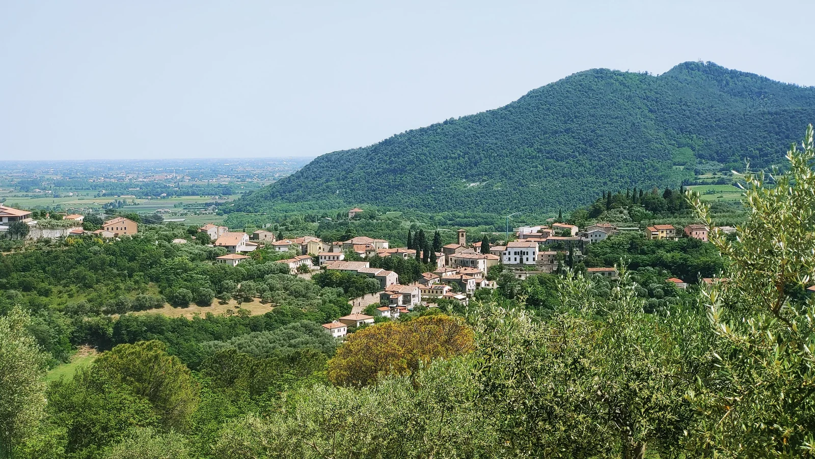 Il borgo di Arquà Petrarca tra gli oliveti e i Colli Euganei